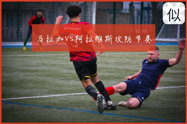 马拉加vs阿拉维斯攻防节奏
