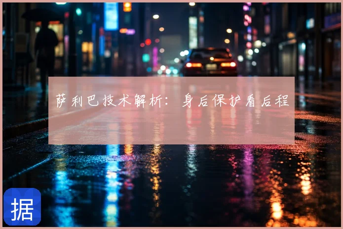 萨利巴技术解析:身后保护看后程