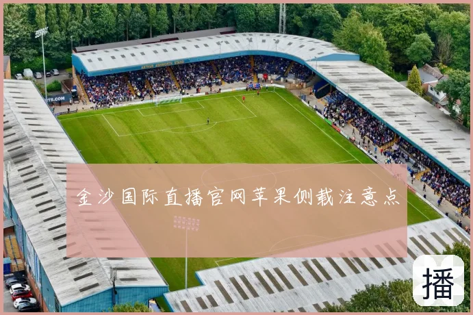 金沙国际直播官网苹果侧载注意点