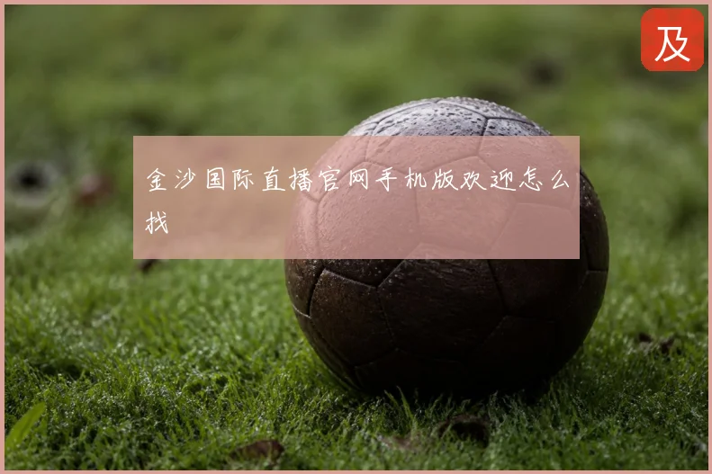 金沙国际直播官网手机版欢迎怎么找